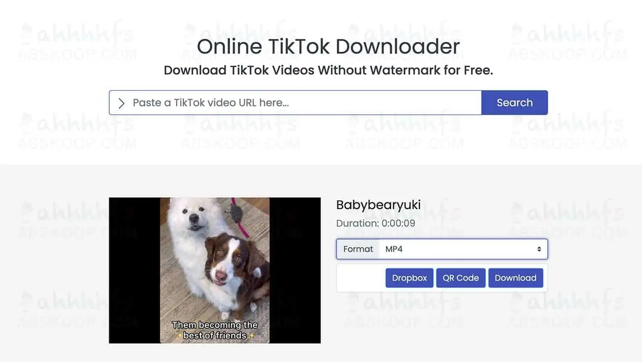 免费在线Tiktok视频去水印下载 TikTok视频下载器