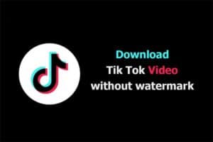 免费在线Tiktok视频去水印下载 TikTok视频下载器：savetik-资源网