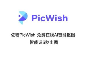 佐糖PicWish 免费在线AI智能抠图 智能识3秒出图-资源网