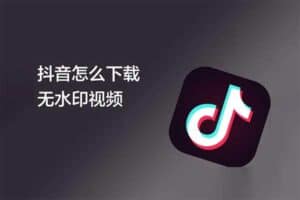 在线Tiktok 抖音去水印解析 GitHub免费开源项目-资源网