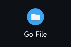 Go File：基于 Go 的文件分享工具 开箱即用-资源网