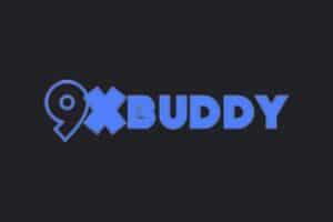 在线视频下载助手：9xbuddy-资源网