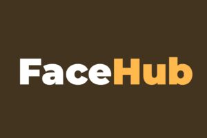 在线智能图片视频换脸工具-FaceHub-资源网