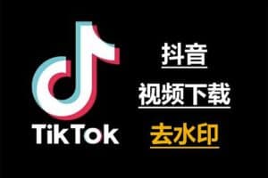 在线TikTok 抖音无水印解析下载工具 – ouo工具-资源网