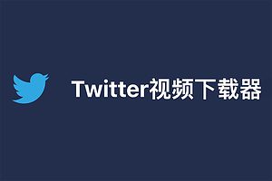 在线Twitter视频下载器-Twitter Downloader-资源网