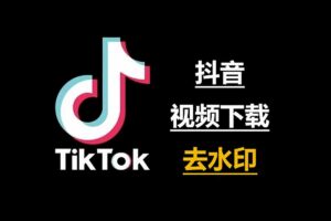 批量TikTok抖音去水印在线解析-Douyin TikTok API-资源网