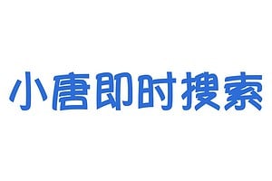 小唐即时搜索-编程知识代码搜索引擎 可以搜索任意片段-资源网