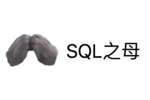 SQL 之母-免费的闯关式 SQL 自学教程网站-资源网