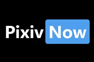 pixiv镜像网站免登陆 免翻使用-PixivNow-资源网