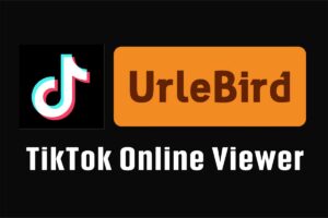 TikTok镜像网站 轻松在线刷TikTok视频-Urlebird-资源网