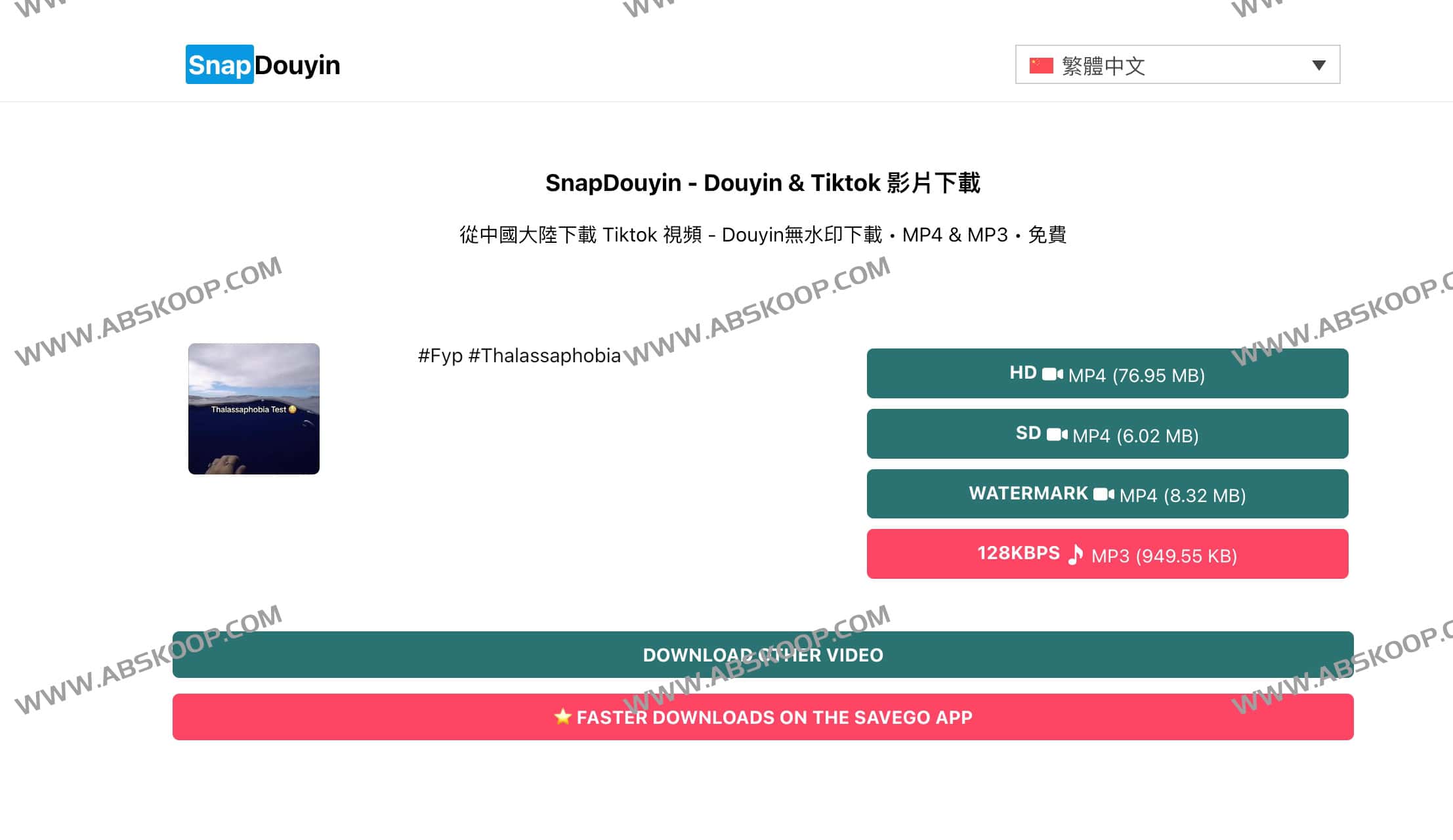 抖音TikTok无水印视频下载工具：Snap Douyin