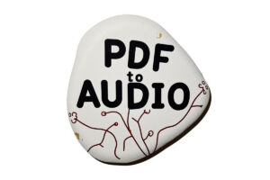 PDF to Audio Converter：AI将PDF 转换为音频播客、讲座、摘要等-资源网