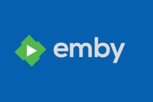 Li番 Emby电影库刮削计划 1991-2023-资源网