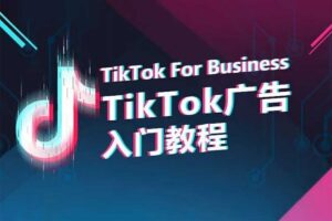 TikTok For Business – TikTok广告投放入门教程-资源网