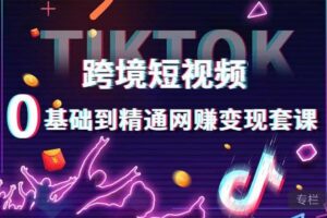 跨境短视频TIKTOK 0基础到精通网赚变现套课，跨境短视频独立站带货变现技巧-资源网