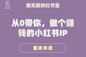 谢无敌 小红书运营大宝典 从0带你做个赚钱的小红书IP-资源网