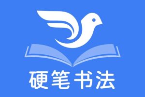 教你零基础写出一手漂亮好字 完结-资源网