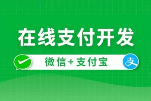 尚硅谷 在线支付开发 带源码课件-资源网