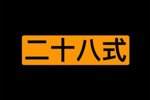 二十八堂课 某技巧真人演示视频教程-资源网