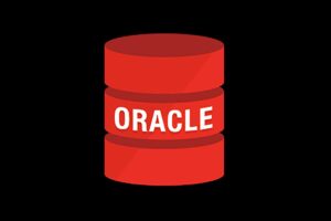 Oracle数据库工程师入门培训实战-资源网