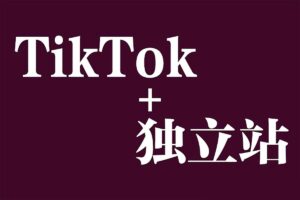 Tiktok+独立站0基础入门到精通 跨境电商独立站新手必学课-资源网