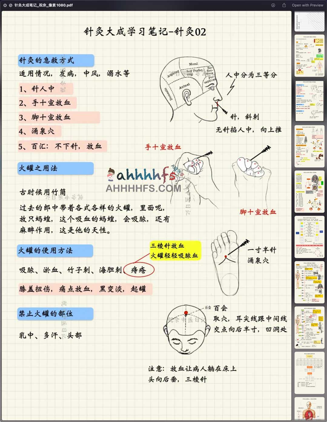 彩色版针灸大成笔记 PDF