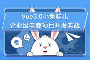 Vue3.0小兔鲜企业级电商平台项目实战-资源网