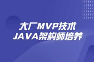 大厂MVP技术JAVA架构师培养-资源网