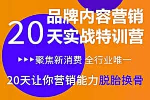 品牌内容营销 20天特训营,20天让你营销能力脱胎换骨-资源网