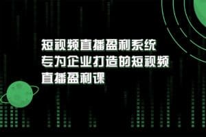 实战全网营销-专为企业打造短视频直播盈利系统-资源网