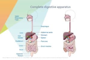 3000张CNS封面级临床与科研绘图-资源网