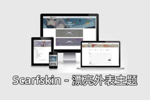 Scarfskin 一款拥有漂亮外表的Typecho简洁主题-资源网