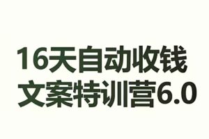 16天自动收钱文案特训营6.0，学会儿每天自动咔咔收钱-资源网