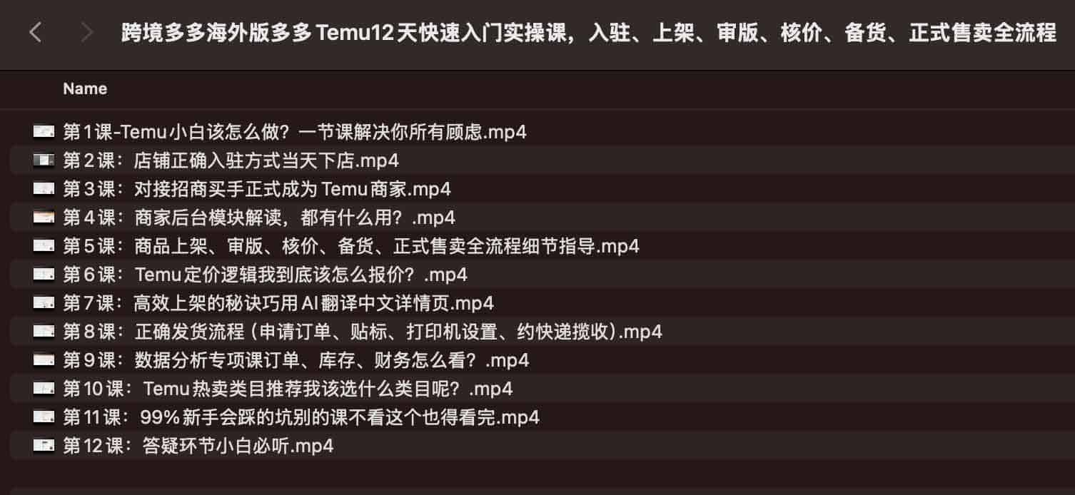 图片[1]-跨境多多海外版多多Temu12天快速入门实操课，入驻、上架、审版、核价、备货、正式售卖全流程-资源网