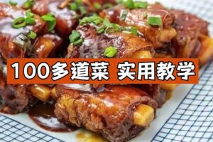 100多道菜，实用教学让你从小白变大厨-资源网