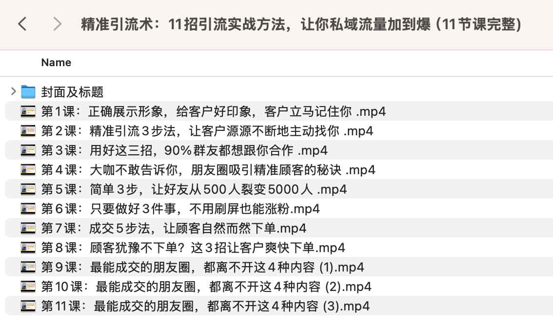 精准引流术：11招引流实战方法，让你私域流量加到爆（11节课完整)