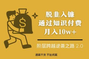 脱韭入镰，通过做“超级个体“月入10w+，普通人实现阶层跨越的最优解-资源网