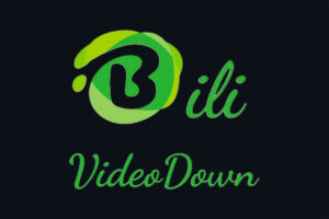 BiliVideoDown-开源 B 站视频下载器-资源网