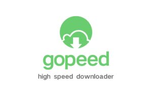 Gopeed-全平台开源高速下载器 支持（HTTP、BitTorrent、Magnet）协议-资源网