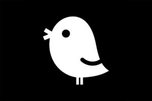 苹果iOS 推特第三方客户端 去广告 – Birdie for Twitter-资源网