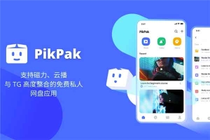 超好用的私人网盘 PikPak 磁力在线妙传 不限速10TB 整合TG bot-资源网