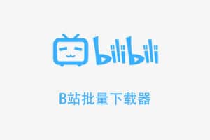 B站批量下载器(bilibili视频下载软件) V1.3-资源网